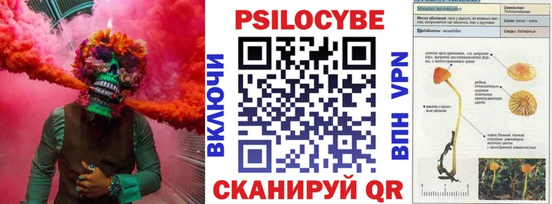 Галлюциногенные грибы мицелий  Купить где  Билибино 